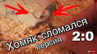 ХОМЯЧОК СЛОМАЛСЯ ВЕРСИЯ 2:0 😂😂😂