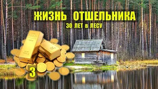 ЗОЛОТО в ПОДПОЛЬЕ - КЛАД ОТШЕЛЬНИКА ЗОЛОТАЯ ЛИХОРАДКА ЖИЗНЬ в ТАЙГЕ ИСТОРИИ из ЖИЗНИ в ЛЕСУ СЕРИАЛ 3