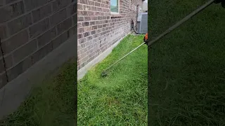 Grass Trimming