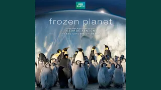 Frozen Planet Opening Titles