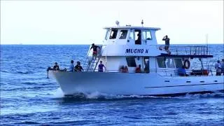 MUCHO K | Party Fishing Boat at Haulover