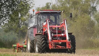 Lokomotywa w Akcji 🚂 Czyli Prace Pożniwne 2023🔥 Gr Feler ✔️Ursus 1224 Turbo👌Talerzowanie 2023