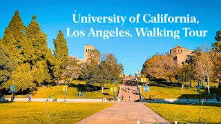 University of California, Los Angeles Walking Tour 2023.