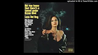 Lana Del Rey - Taco Truck x VB (Official  Instrumental)