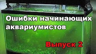 Ошибки начинающих аквариумистов. Выпуск 2