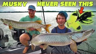 41 MUSKY BITES!?! - Lake St. Clair CRAZINESS Part 1