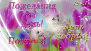 Позитив на день!/Пожелания!/ День добрый!