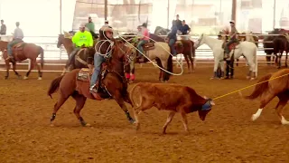 CHTR #8.5/4.5 Team Roping. Round 1 Part 3