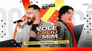 Forrozão Tropykalia | Lyric Você Fugiu de Mim Feat Nattan