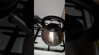 минусы чайника Tefal