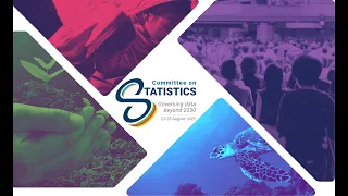 Committee of Statistics, Eighth Session (Day 2)