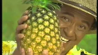 Del Monte - Del Monte Pinapple Juice "Mr. F - Phyto" TVC 45s (1995)