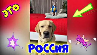 ЭТО РОССИЯ 😊😂🤣 2021 #31 😊😂🤣 #ЛУЧШИЕ #НОВЫЕ #СМЕШНЫЕ #ВИДЕО