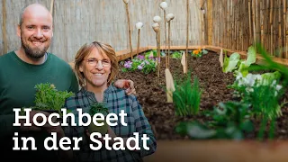 Wie bepflanzt man am besten ein Hochbeet in der Stadt?