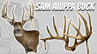 The World Record Typical Whitetail Discovered in a Basement! The Sam Aiuppa Buck