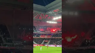 CRAQUAGE FUMIGÈNE (PSG/LILLE)❤️💙