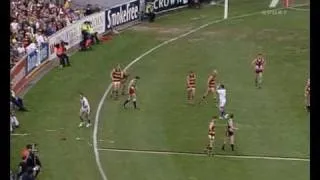 1997 AFL Grand Final 4th Quarter Adelaide vs St Kilda