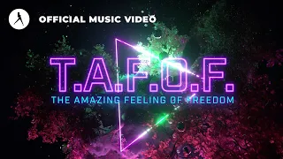 Jay Reeve - T.A.F.O.F. (Official Videoclip)