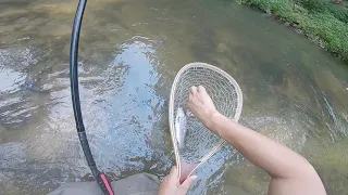 Iowa Trout Fishing - Spring Creek