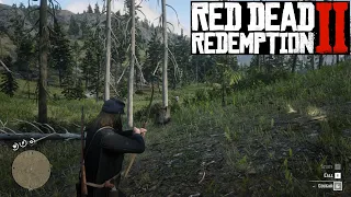 Red Dead Redemption II PC - Master Hunter 6: 2 of 5 Cougars killed with Bow, then skinned (Part 2)