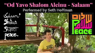 “Od Yavo Shalom Aleinu * Salaam” song for peace in Hebrew and Arabic, cover by Seth Hoffman