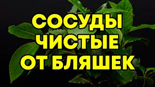 СОСЕДКА, 70 Лет, Каждое Утро ПЬЕТ ЭТО! Запора НЕТ Давление 120 80, Крепкое СЕРДЦЕ И Сосуды!