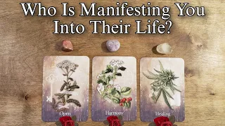 👑🌟 Who Is Manifesting You Into Their Life? 👑💋 Pick A Card Love Reading