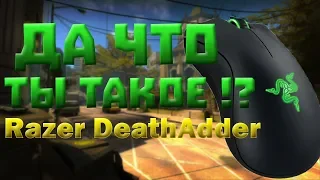 Отзыв о Razer DeathAdder| Минусы и плюсы| Прокликивания