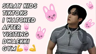 Stray Kids Tiktoks I Watched After Visiting Dwaekki Gym💪