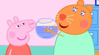 Peppa Wutz | Ein Fisch namens Goldi | Peppa Pig Deutsch Neue Folgen | Cartoons für Kinder