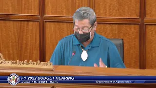 FY 2022 Budget Hearing - Senator Joe S. San Agustin - June 15, 2021 9am DOA