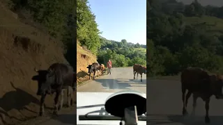 #Lerik Lenkaran Piran-Hamarat yolu🏞️