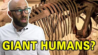 What Did People Think When They First Found Dinosaur Bones?