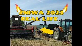 🌾ŻNIWA RZEPACZANE 2023 REAL LIFE🔥 CLAAS DOMINATOR 108🌞 [CLIP]