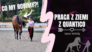 PRACA Z ZIEMI Z QUANTICO 🐎 | Trening młodego konia