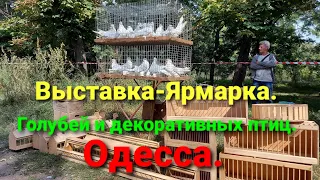 Ярмарка голубей и декоративных птиц Одесса. Савицкий парк. #зоотроп