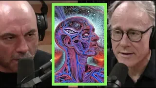 Joe Rogan | Ayahuasca is Amazonian Science w/Graham Hancock