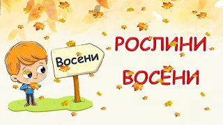 Рослини восени