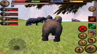 Bear VS Fox, Wolf, Snakes, Bear, Rabbit, Ultimate Forest Simulator