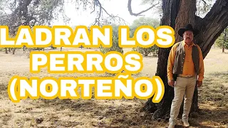 J JUAN VAZQUEZ-LADRAN LOS PERROS (VERSION NORTEÑA)