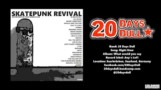 Skatepunk Revival - 10 - 20 Days Dull - Right Now - Skatepunk/pop punk compilation