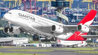 400 AIRCRAFT TAKEOFFS & LANDINGS in 4 HOURS, Aircraft Identification | Sydney Airport Plane Spotting