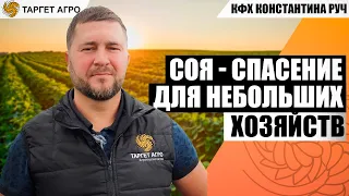 Соя - спасение для небольших хозяйств