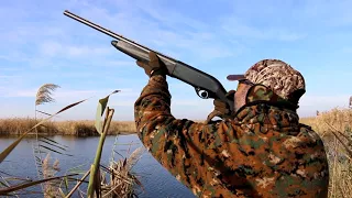 Ducks Hunting Romania 2016