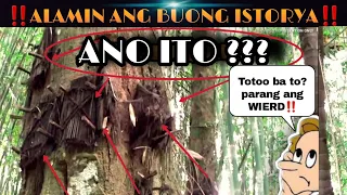 ALAMIN ANG KAKAIBANG LIBINGAN NG MGA KATUTUBONG MANGYAN | #MangyanVlog6