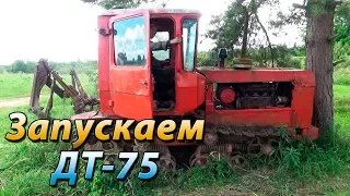 Запускаем ДТ 75 после 8 лет простоя. Советская техника жива.