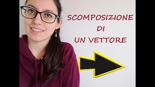 SCOMPOSIZIONE di un vettore