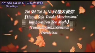 只是太爱你_zhi shi tai ai ni_terjemahan lirik Indonesia
