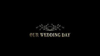 Our Wedding day. Golden Titles 02 / Весільний день Золоті титри /  Footage Alpha Channel