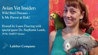 Avian Vet Insider 27: Wild Bird Diseases - Is My Parrot at Risk?